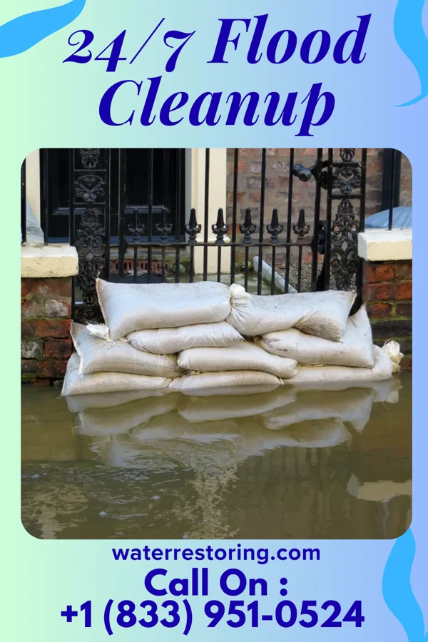 24/7 Flood Cleanup in Elloree, SC