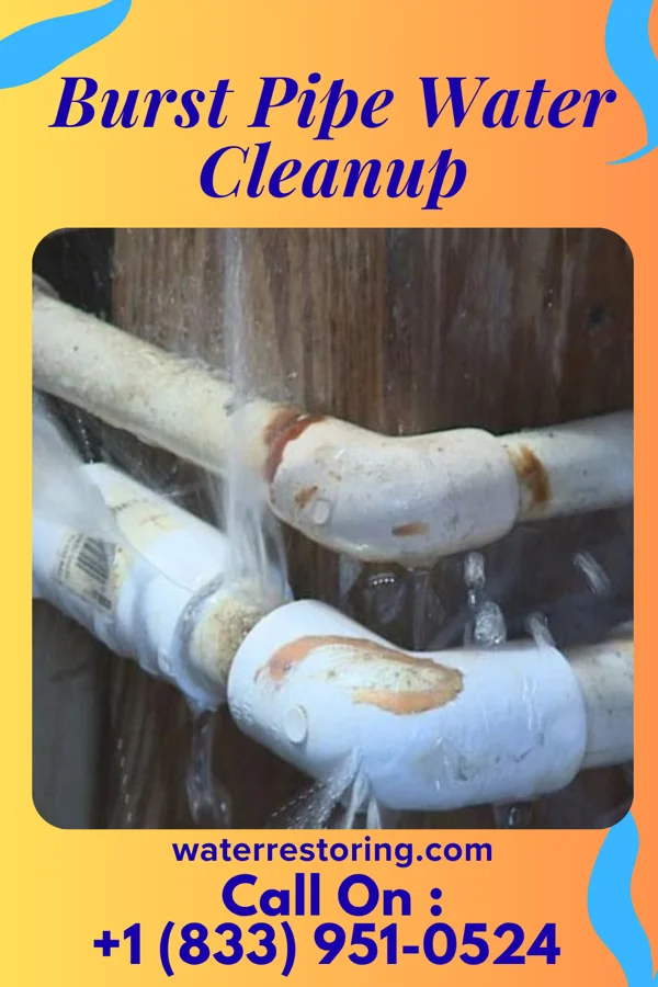 Burst Pipe Water Cleanup in Elloree, SC