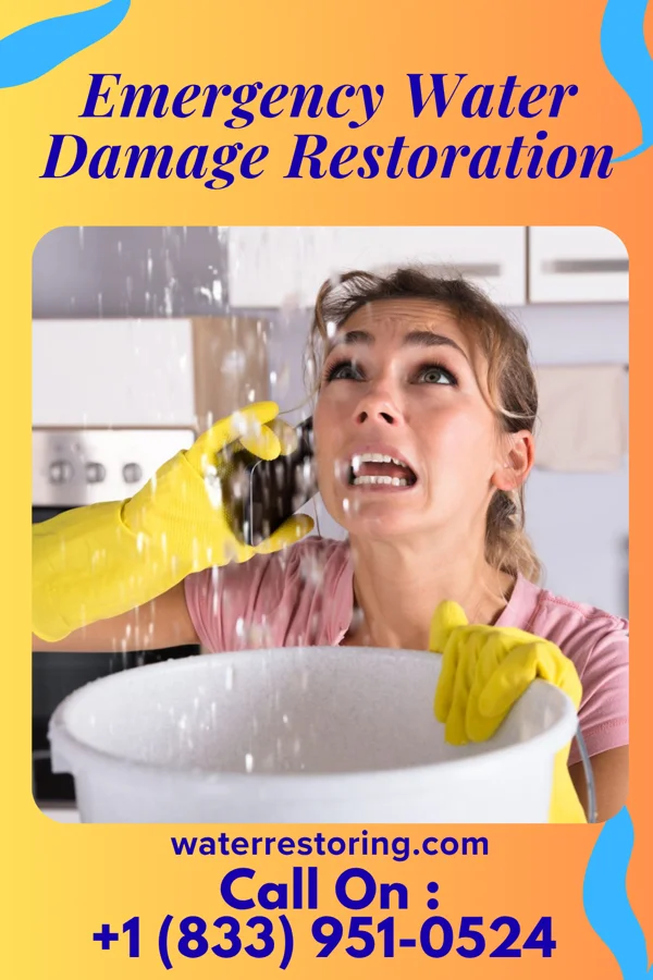 Emergency Water Damage Restoration in Elloree, SC