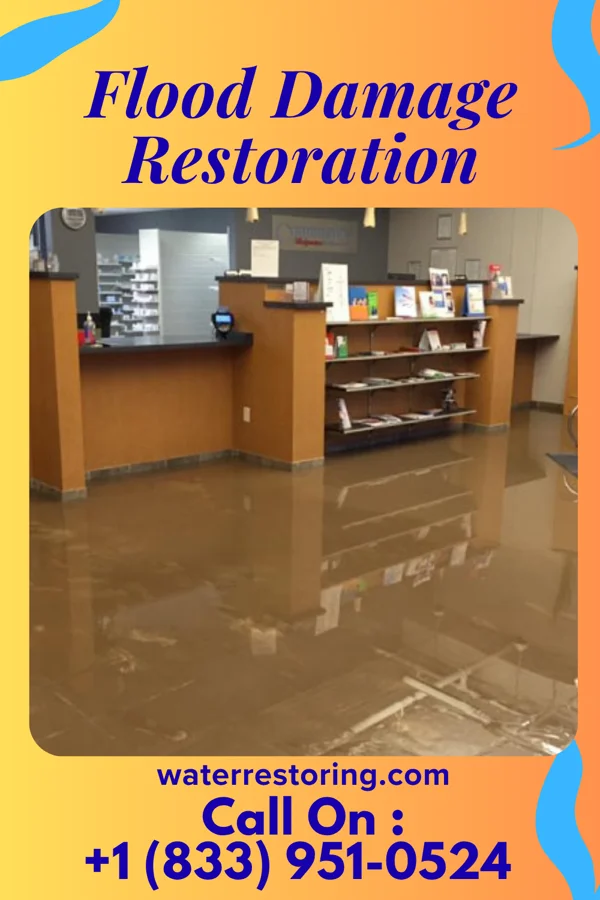 Flood Damage Restoration in Elloree, SC